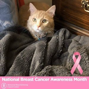 Meet your Posher, Patty